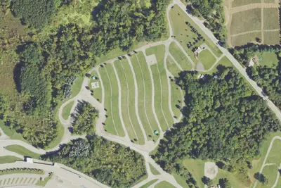 Tree Farm
