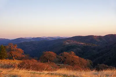 2011-12-04 Morgan Hill, Henry W. Coe State Wilderness Park 060 (6493352541)