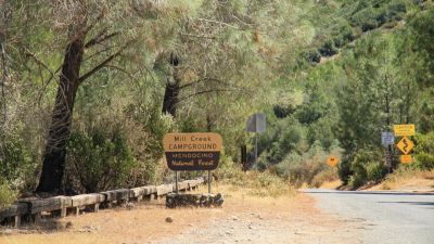 Mill Creek - Mendocino National Forest