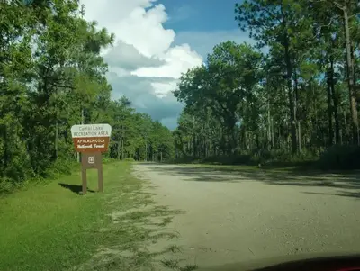 Camel Lake Campground
