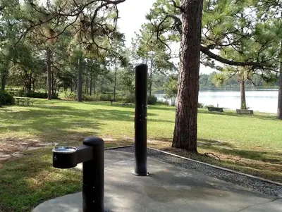 Camel Lake Campground