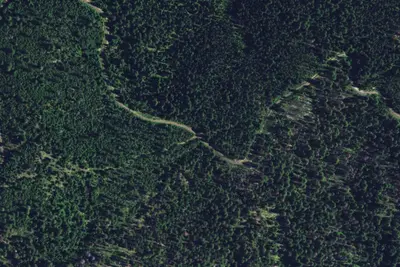 Sr9919rd-001
