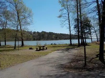 Campsite