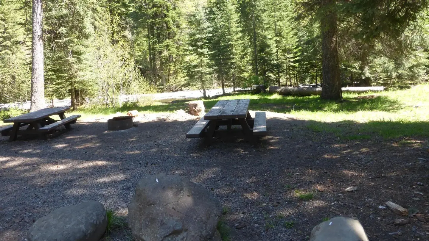 View from the parking area through the central site, with North Fork Catherine Creek in the background.