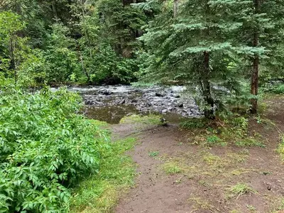 North Fork Catherine Creek with trees around it.