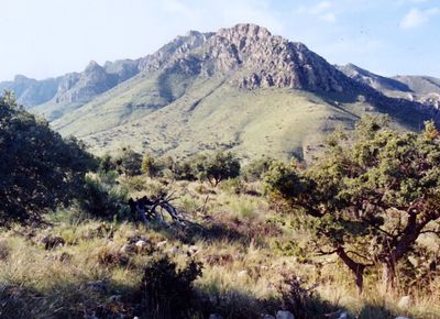 Texas,USA. - panoramio (2)