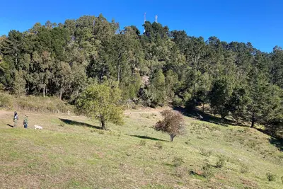 Round Top mountain in Sibley Volcanic Regional Preserve, Oakland, California, US