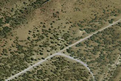 Camp site