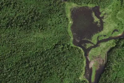 Camp site (NYSDEC)