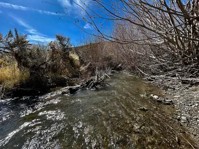 Mill Creek Close Up (55184956707)