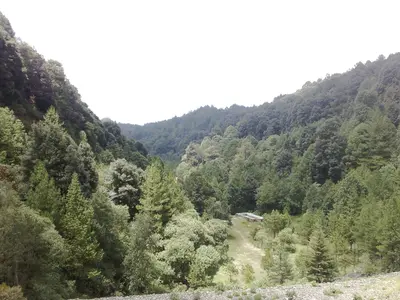 En el mirador de la Presa del llano vista al valle - panoramio