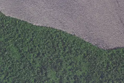 Camp site