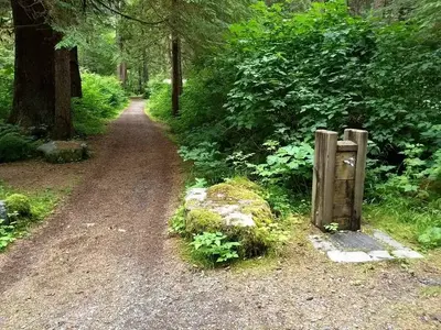 Starrigavan campsites