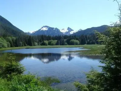Starrigavan campsites
