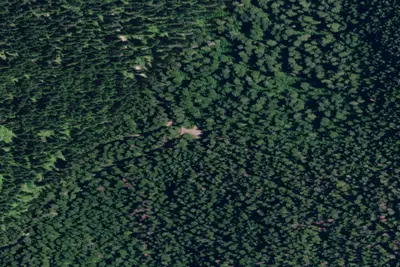 Rd 534 Site 1