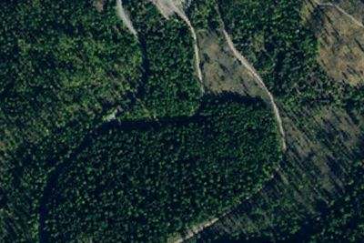 Patrick Creek Dispersed Site 2