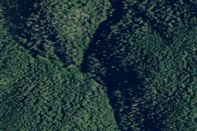 Rd 413 Site 14