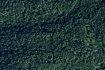 Pnt03 Tr92 Site B
