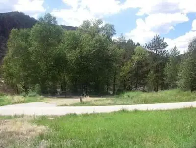 Narrows (Co)