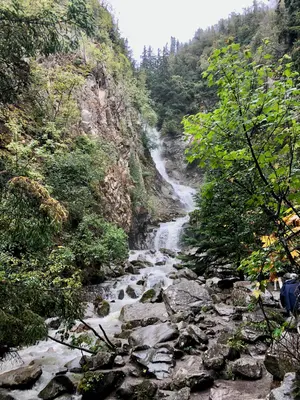 Alaska Cruise - September 2019 (4534)