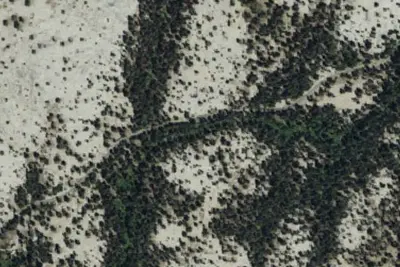Big Meadow Campground