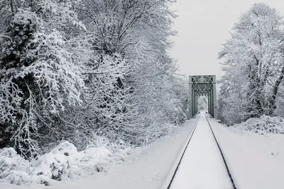 Train trestle in the snow, Willamette Valley, Oregon (33179199188)
