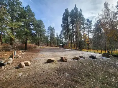 CHRIS PARK Group Site #2