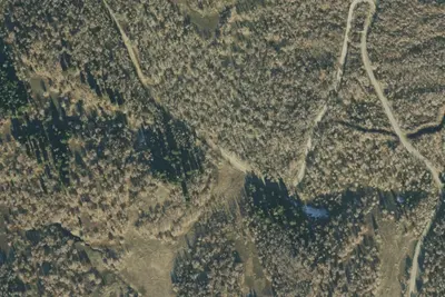 National Guard Dispersed Area