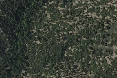 Alger Creek Camp