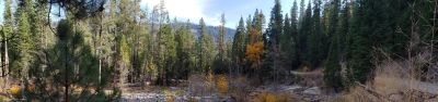 Ahart Campground