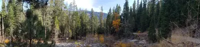Ahart Campground