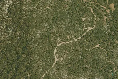 Camp site
