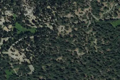 Dorst Creek Campground