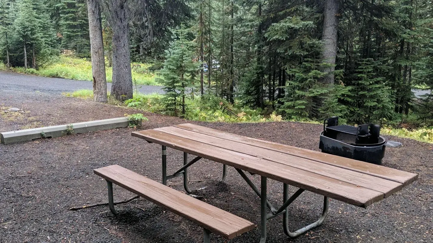 Forested campsite