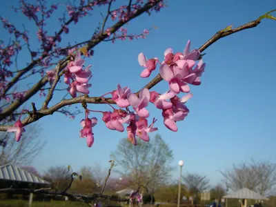 반가움 Rest Area (Visitor Center I85) Georgia - panoramio