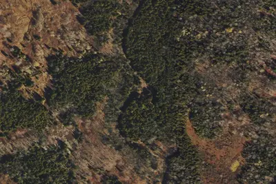 Camp site