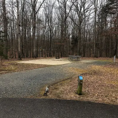 Site 24 (Lake Anna State Park)