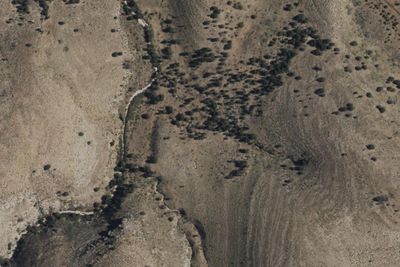 Marcus Wilderness Campground