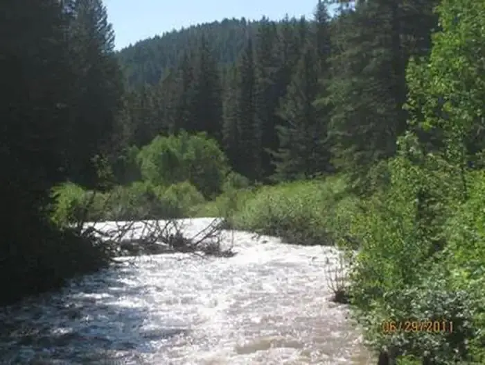 Storm Castle Creek surrounded by pine trees