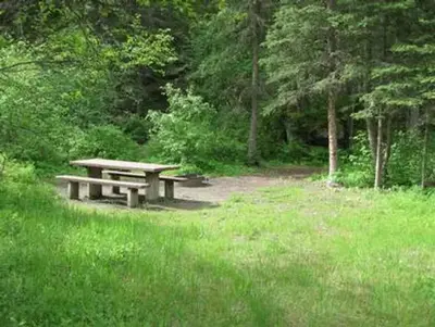 Campsite surrounded by pine trees,  picnic table & fire ring