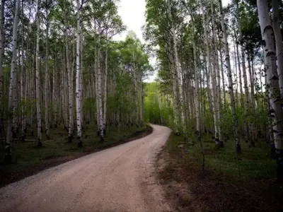Pike and San Isabel National Forest