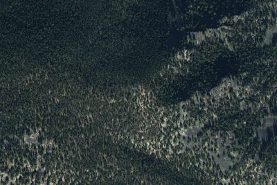 Lodgepole Campground