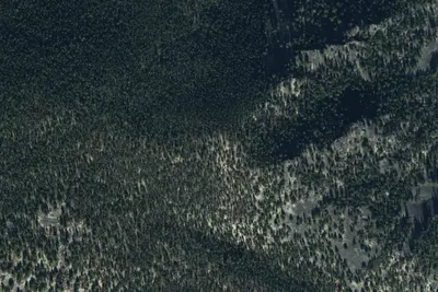 Lodgepole Campground