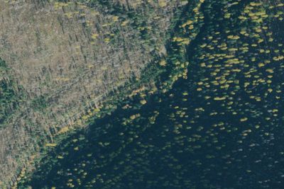 Grave Creek/old Williams Creek