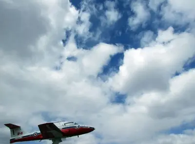 Snowbird (4590022046)
