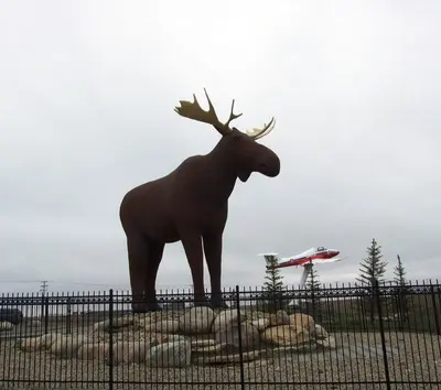 Mac the Moose (4603209810)