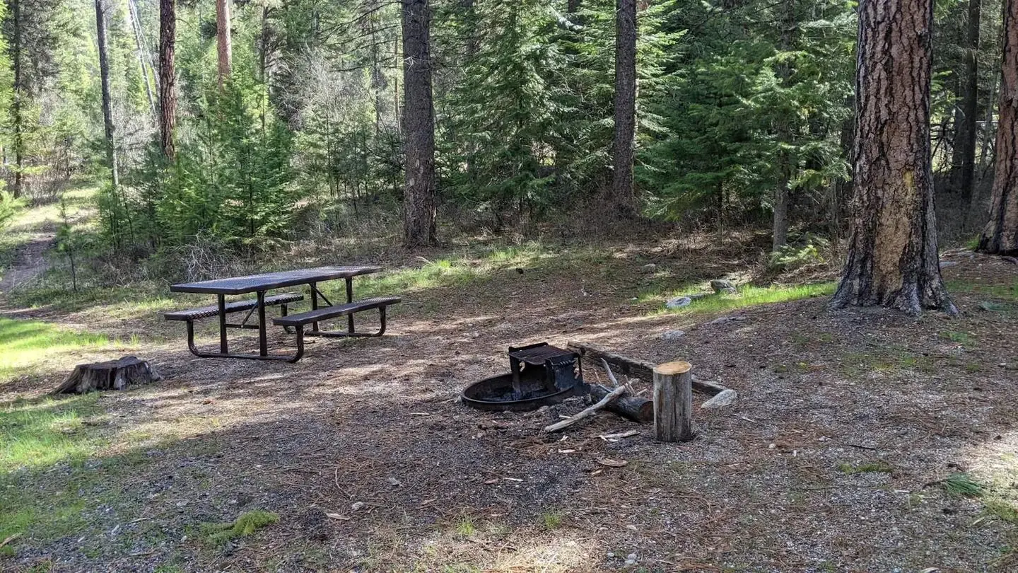 Forested campsite with picnic table and fire pit.