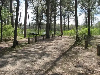 A campsite at Mack Lake ORV Campground