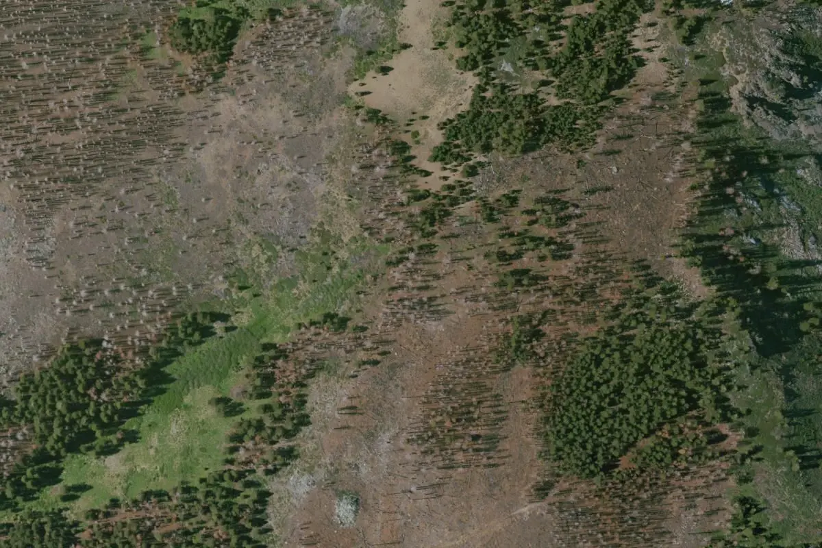 Aerial view