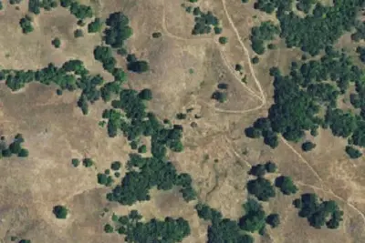 Willson Camp